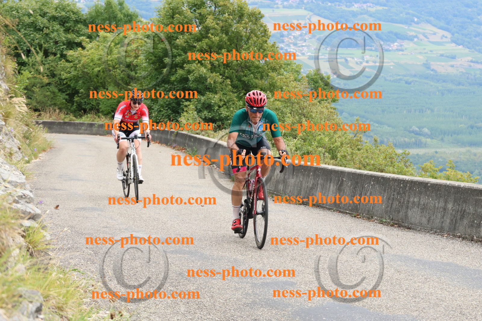 Col du Grand Colombier (359).JPG