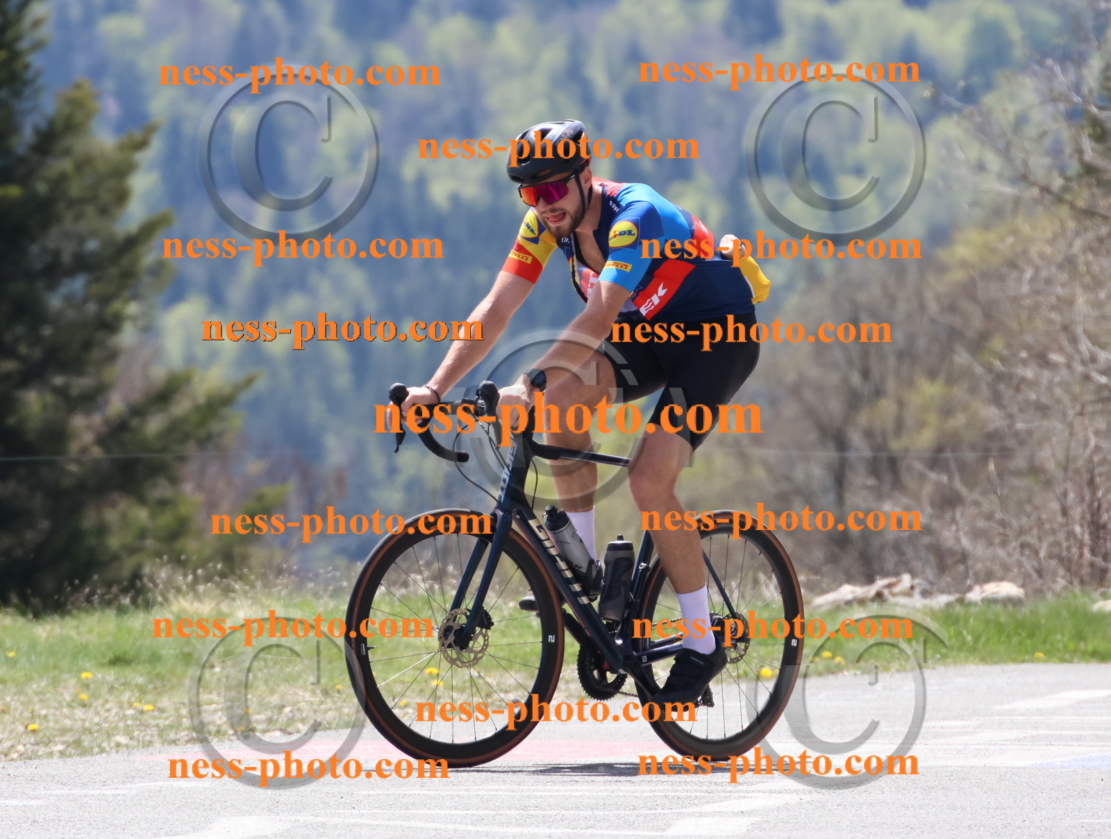 Col du Grand Colombier (352).JPG