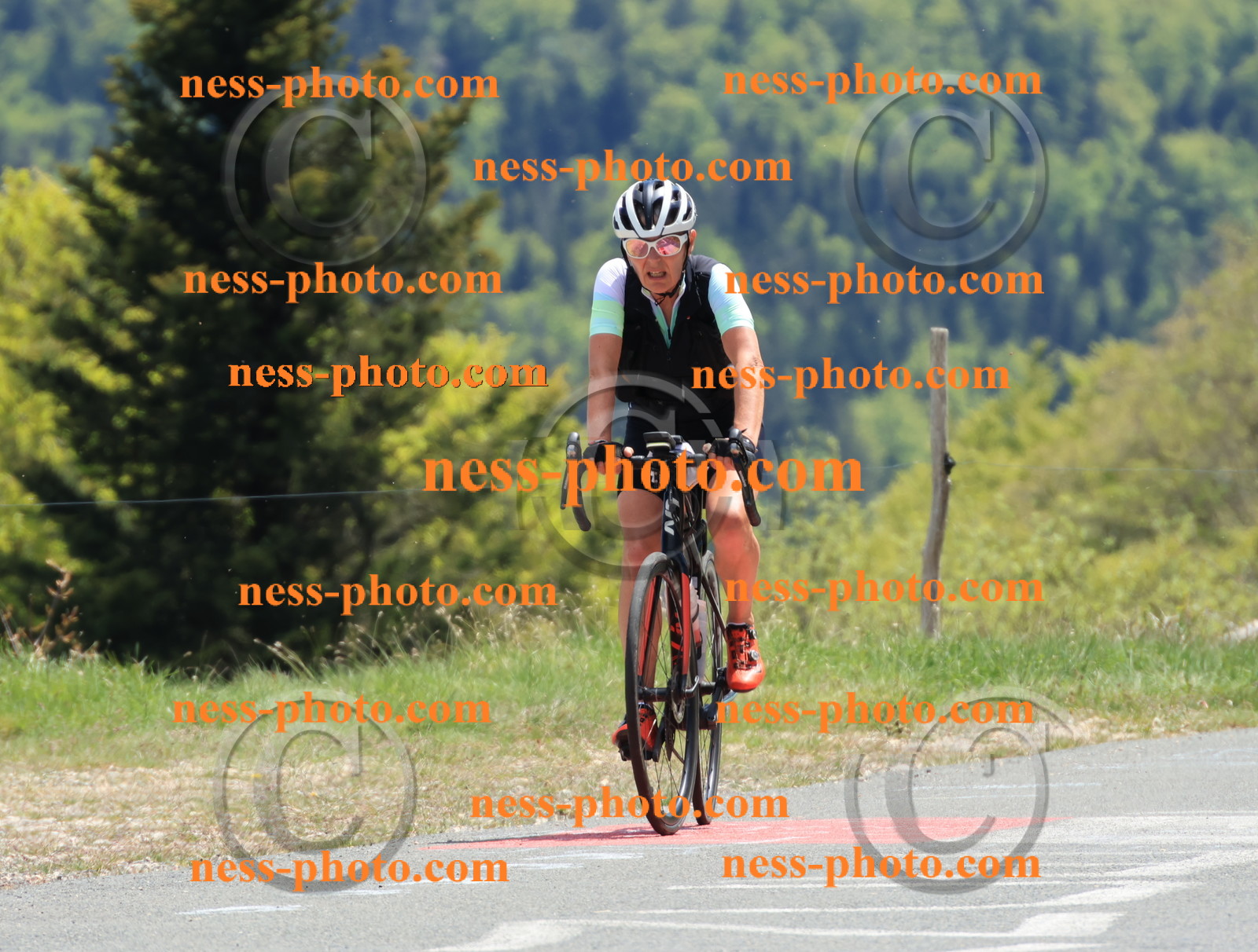 Col du Grand Colombier (509).JPG