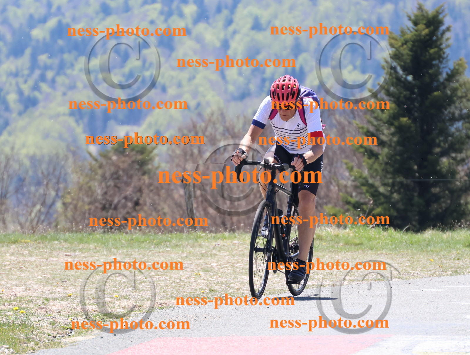 Col du Grand Colombier (422).JPG