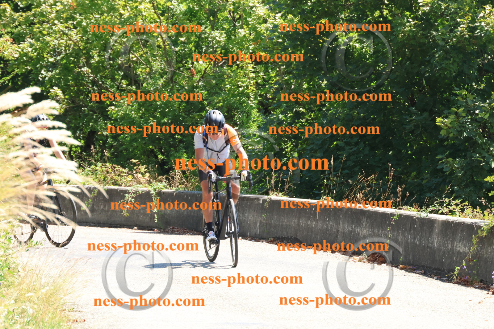 Col du Grand Colombier (239).JPG