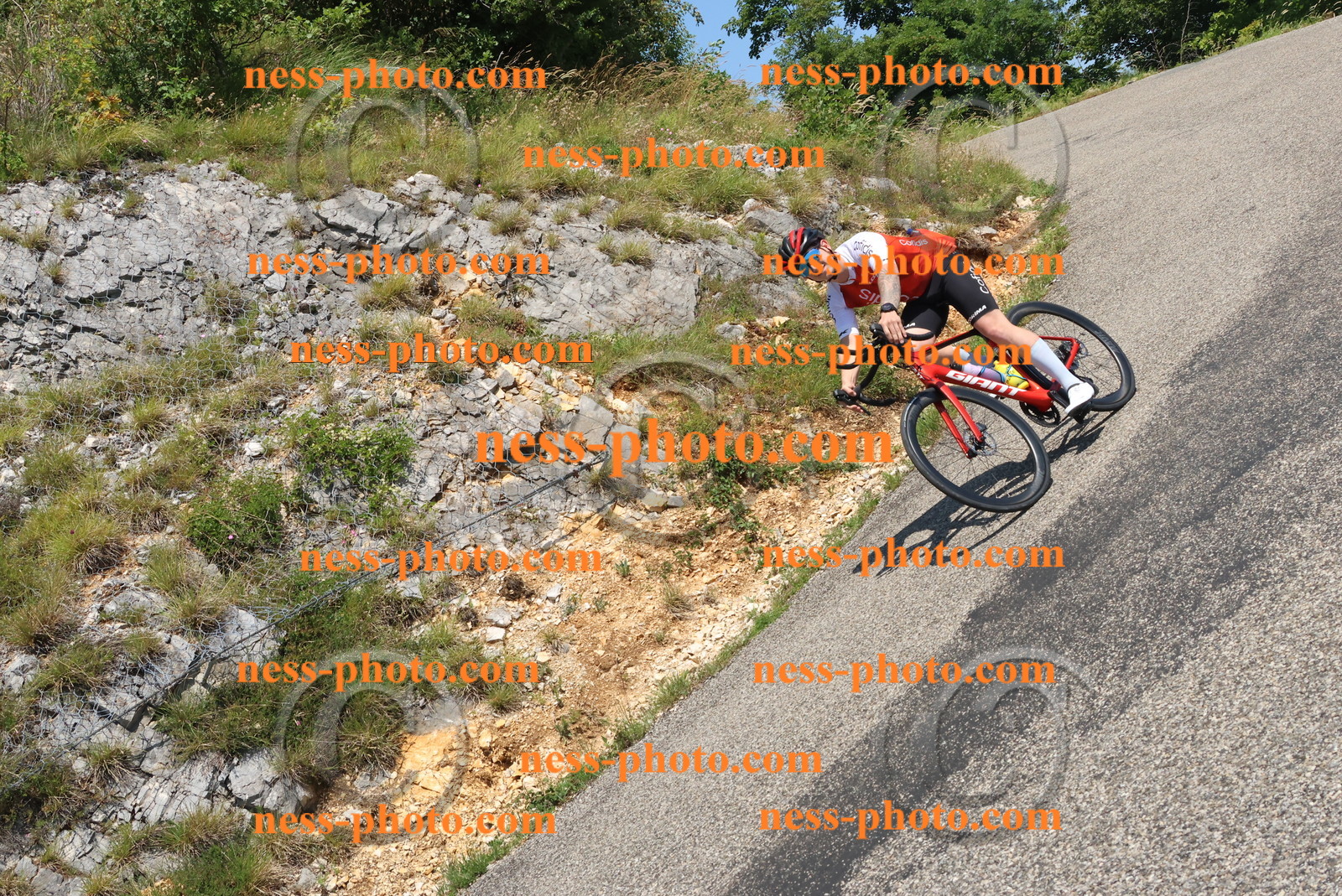 Col du Grand Colombier (479).JPG