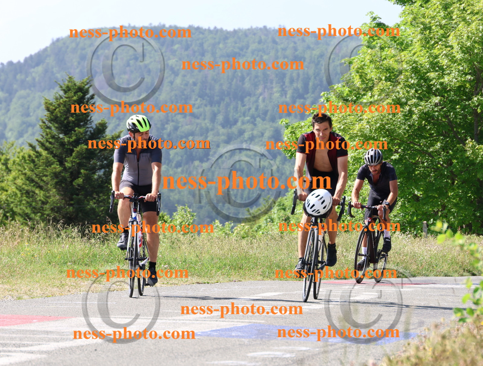 Col du grand Colombier (569).JPG