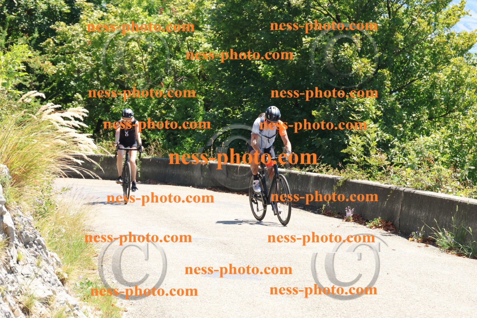 Col du Grand Colombier (241).JPG