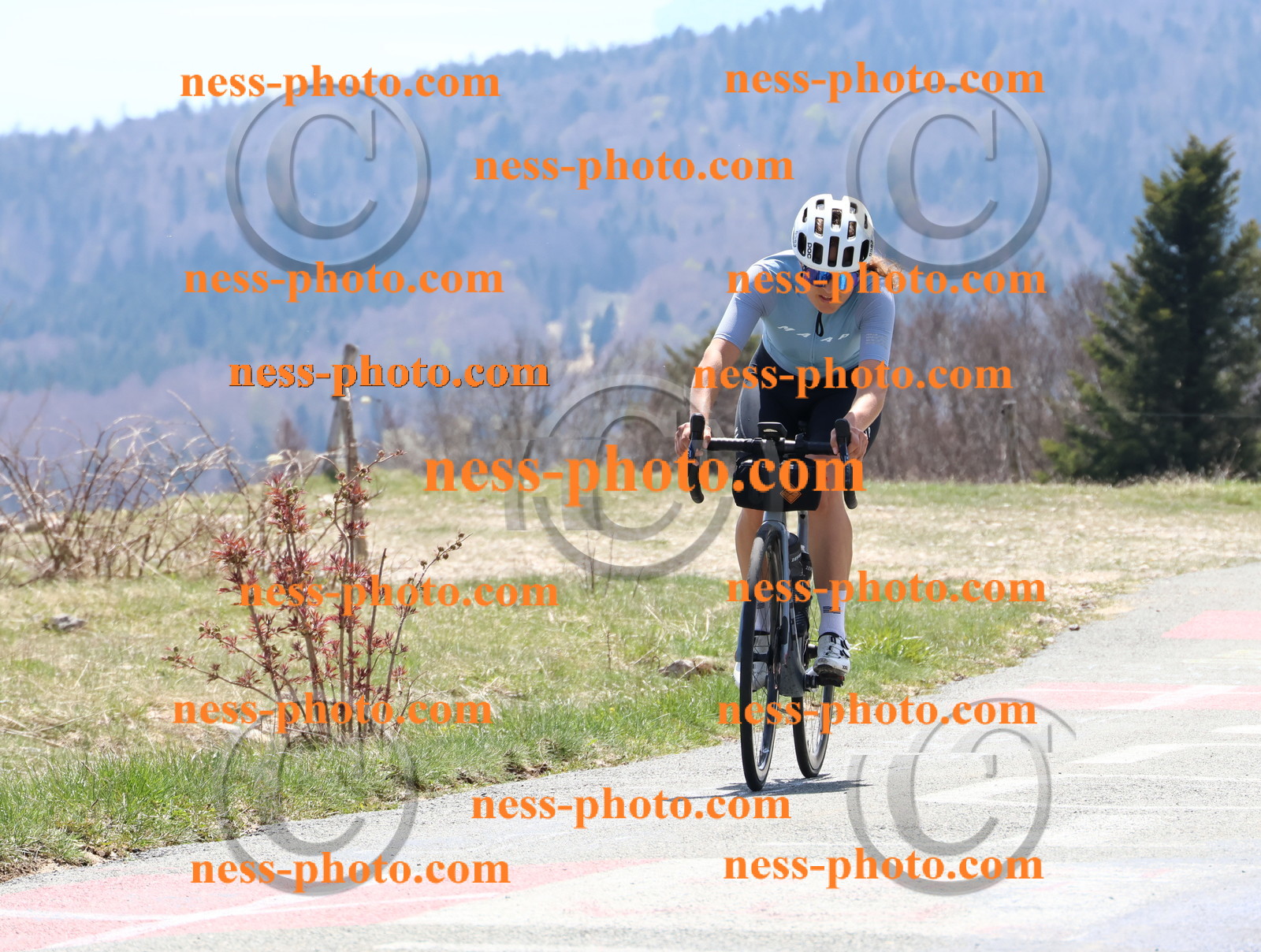 Col du Grand Colombier (294).JPG