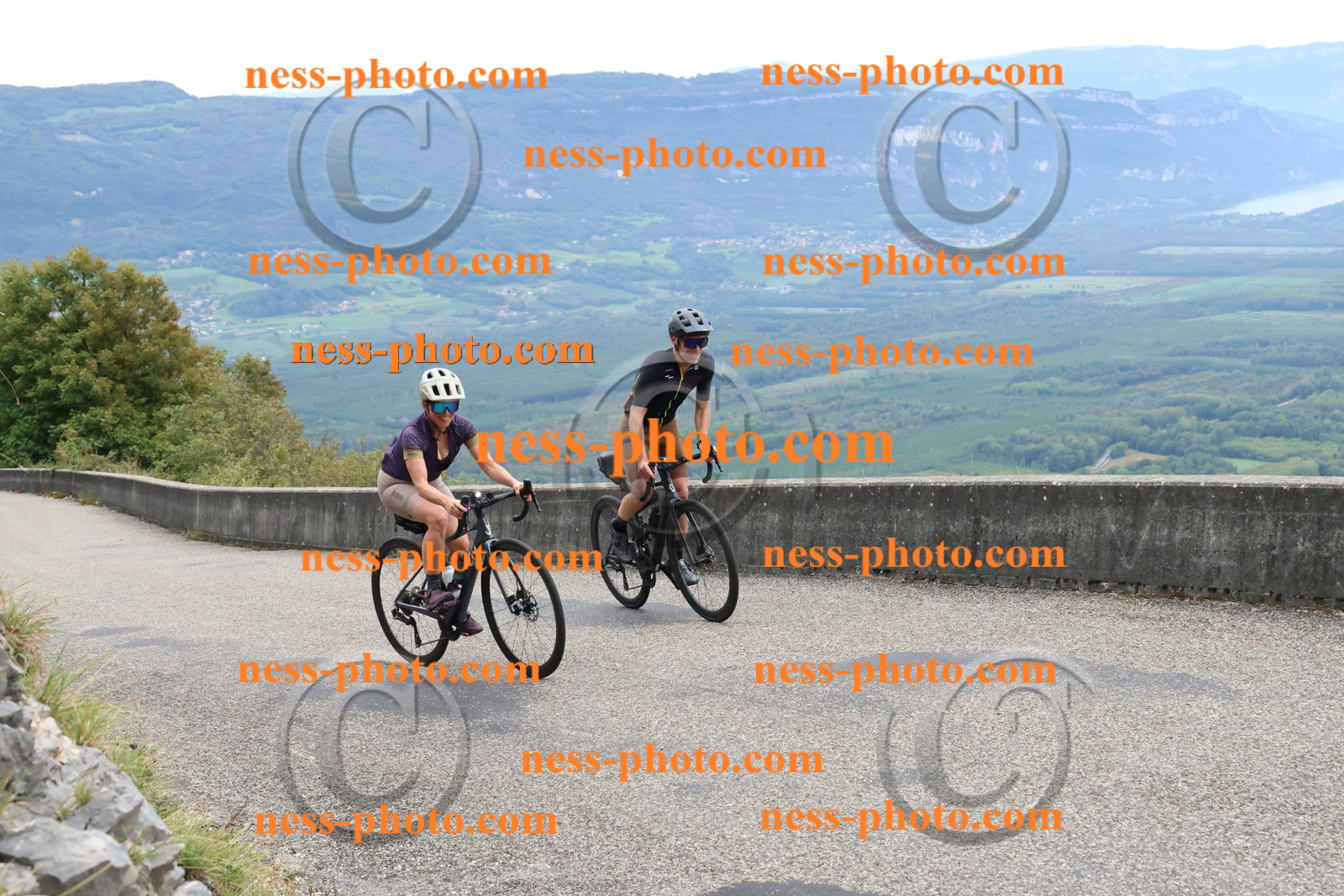 Col du Grand Colombier (290).JPG