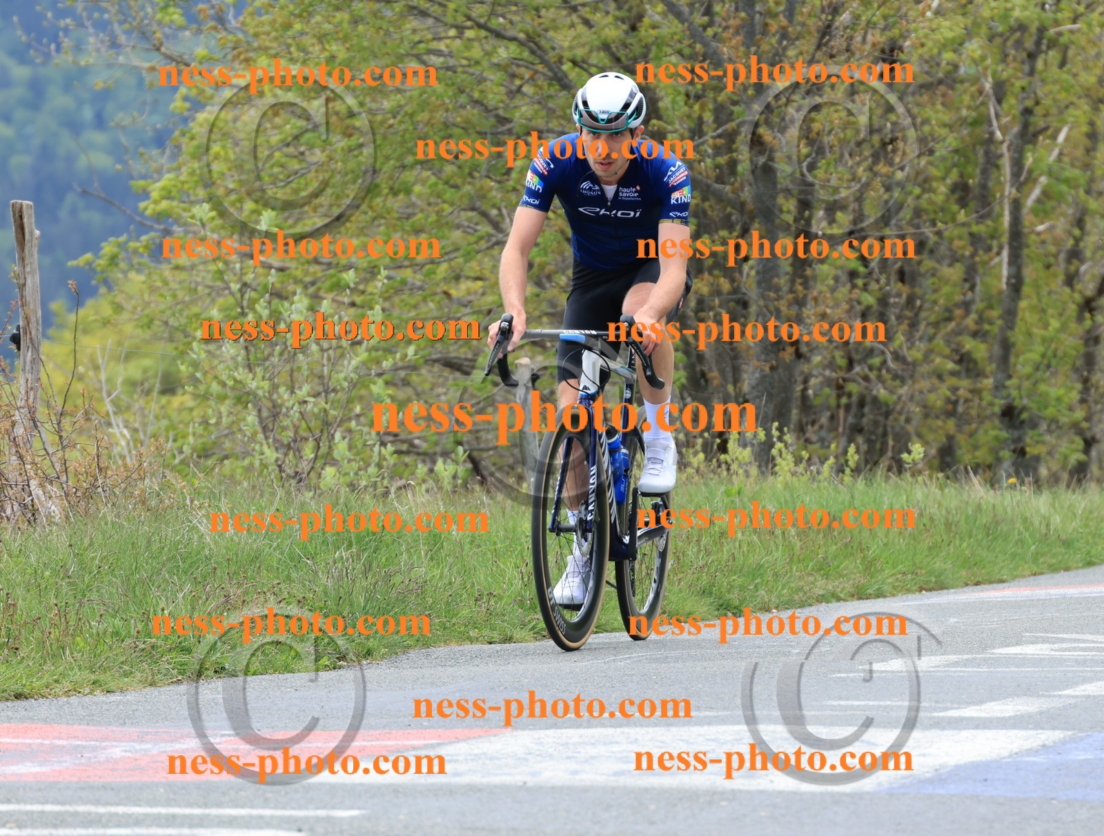 Col du Grand Colombier (426).JPG