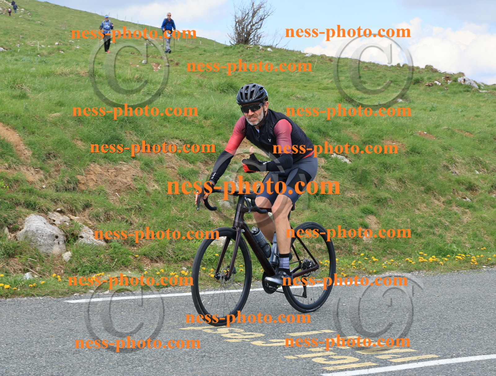 Col du Grand Colombier (3071).JPG