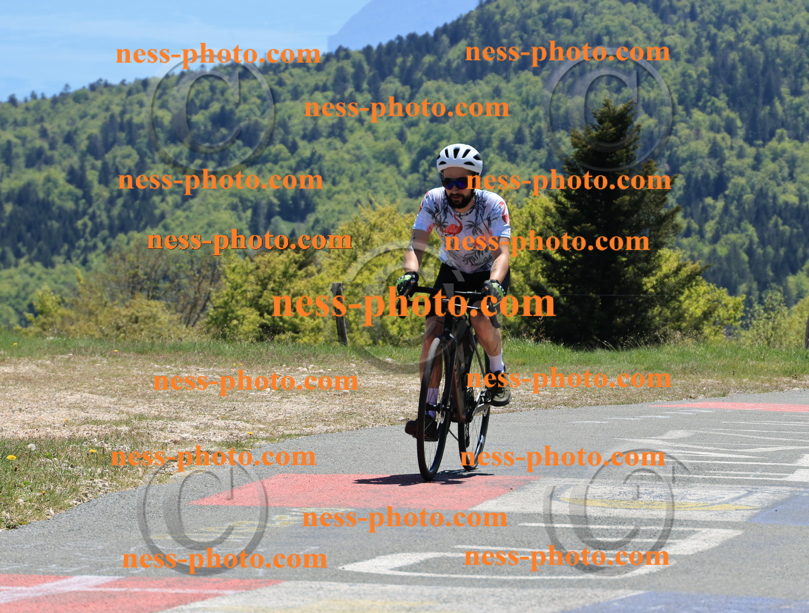 Col du Grand Colombier (417).JPG