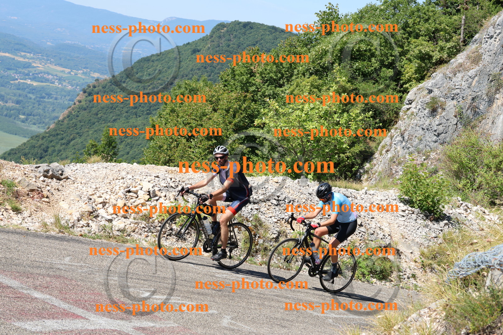 Col du Grand Colombier (2262).JPG