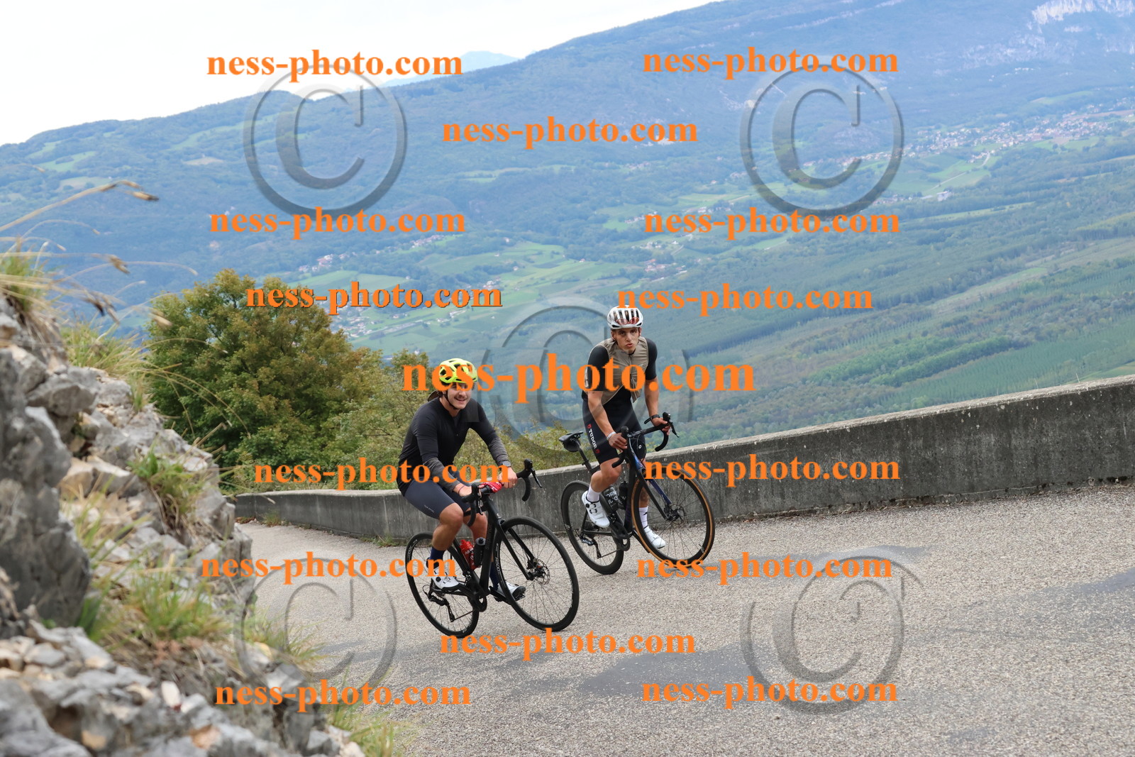 Col du Grand Colombier (2214).JPG