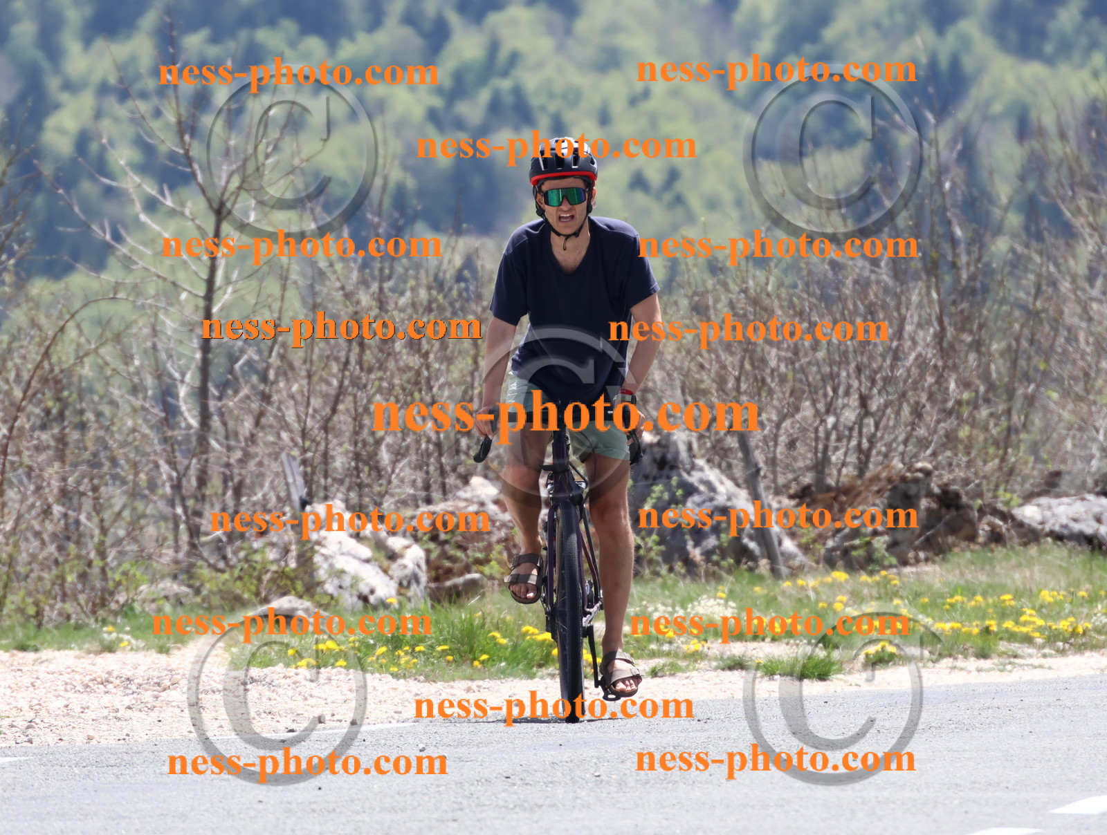 Col du Grand Colombier (704).JPG