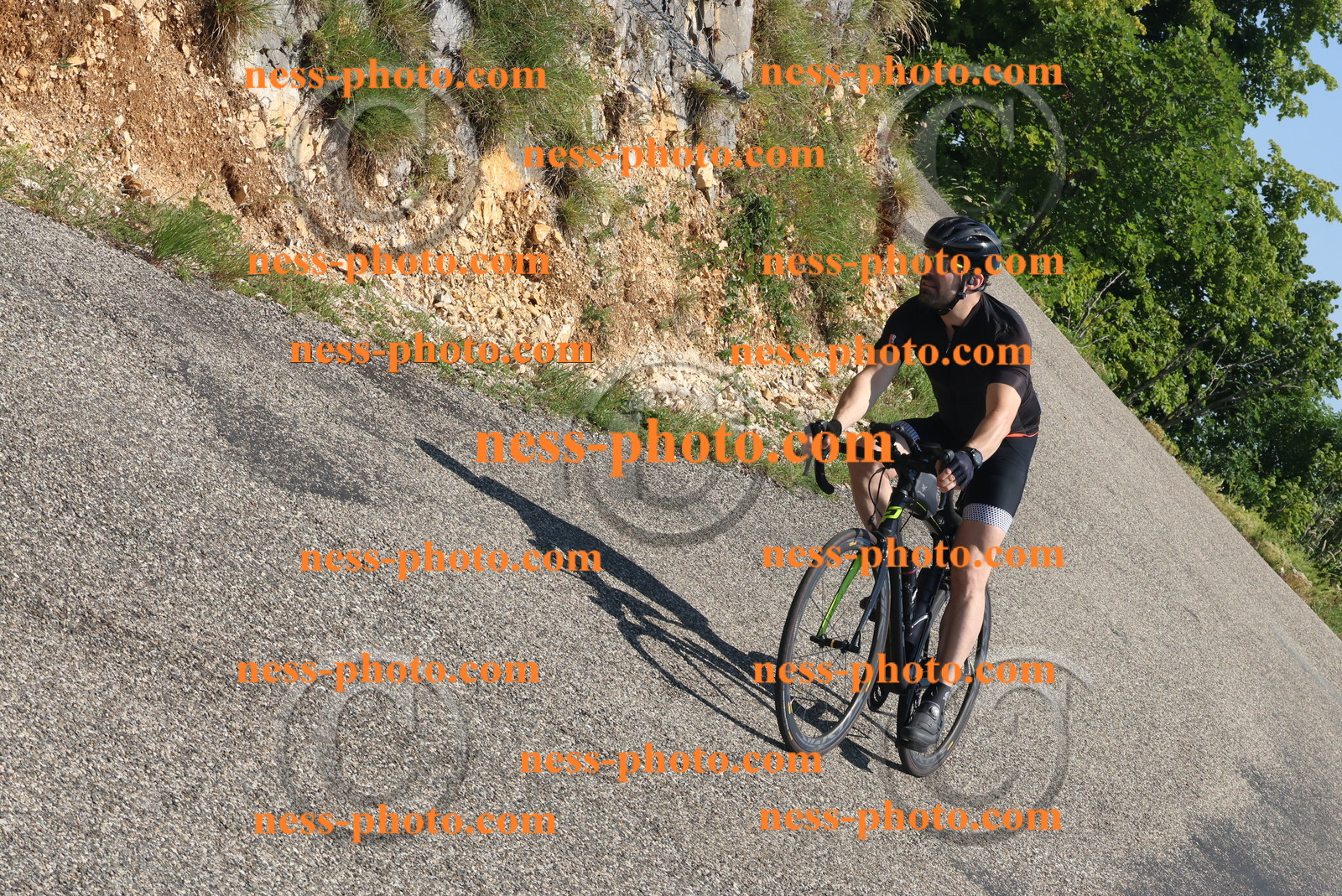 Col du Grand Colombier (446).JPG