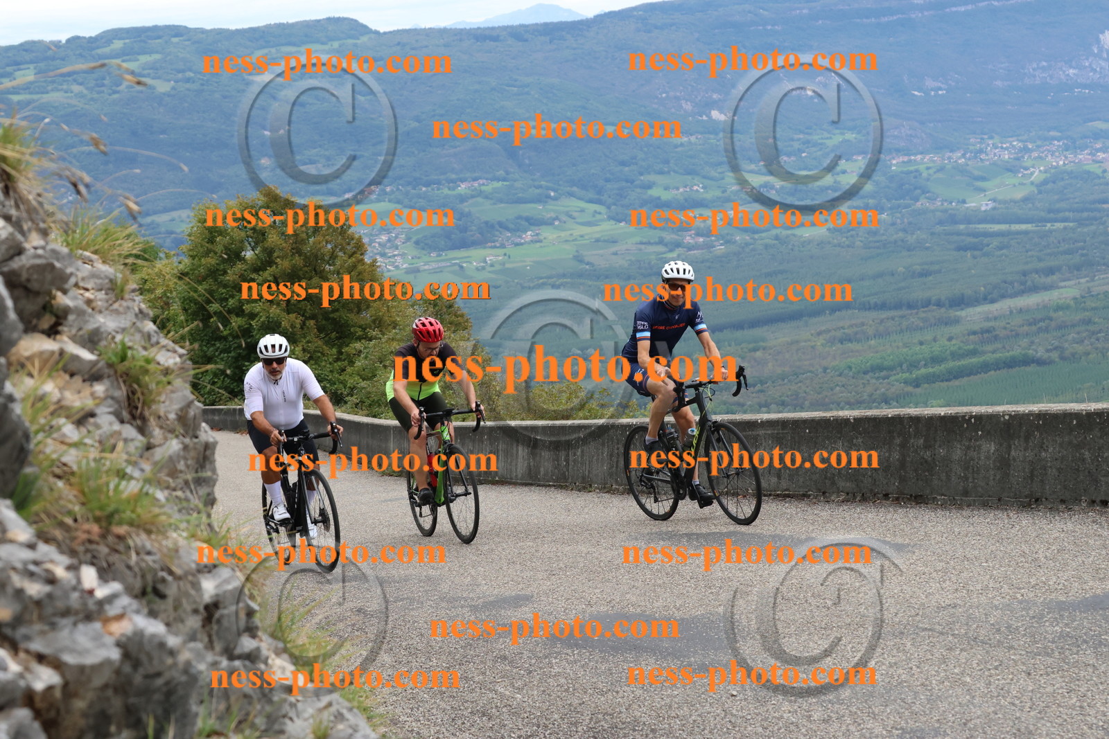 Col du Grand Colombier (1577).JPG