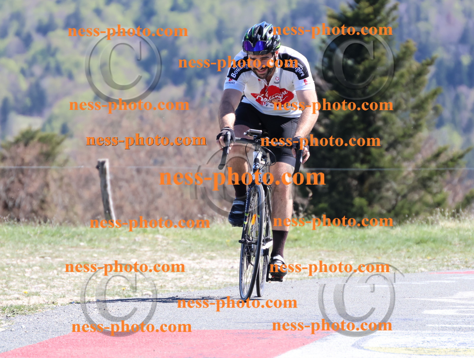 Col du Grand Colombier (1050).JPG