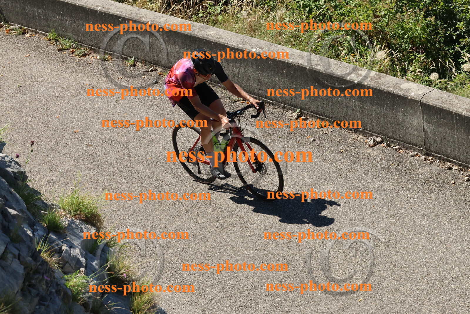 Col du Grand Colombier (254).JPG