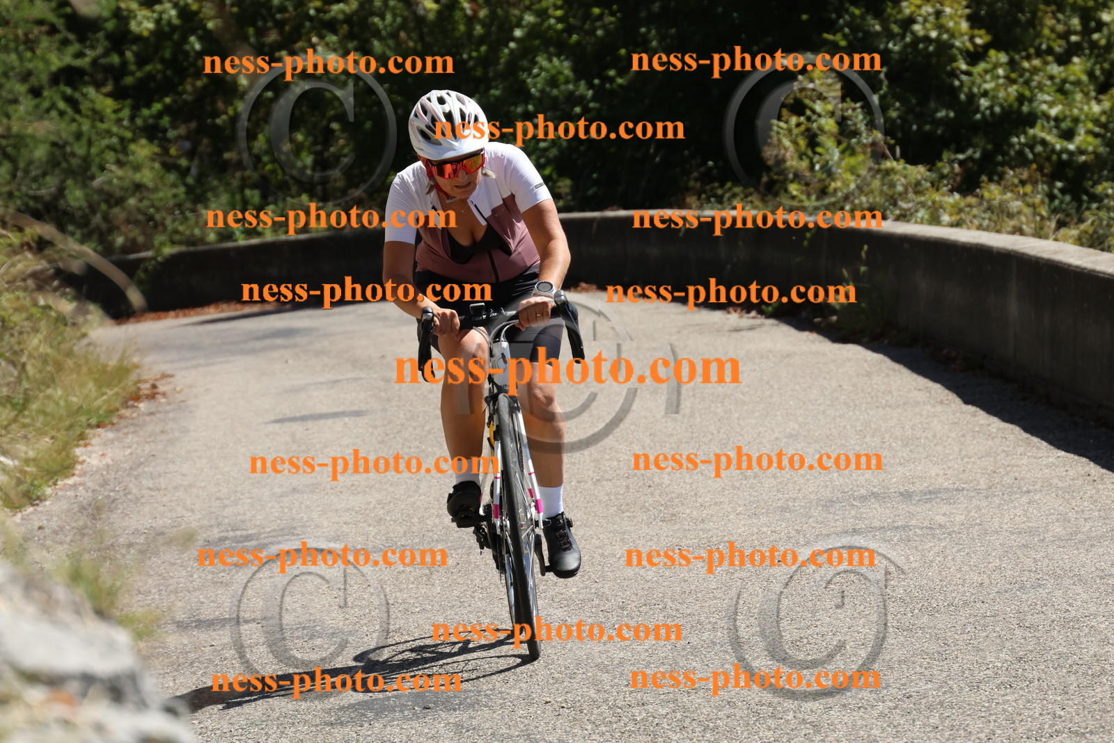 Col du Grand Colombier (576).JPG