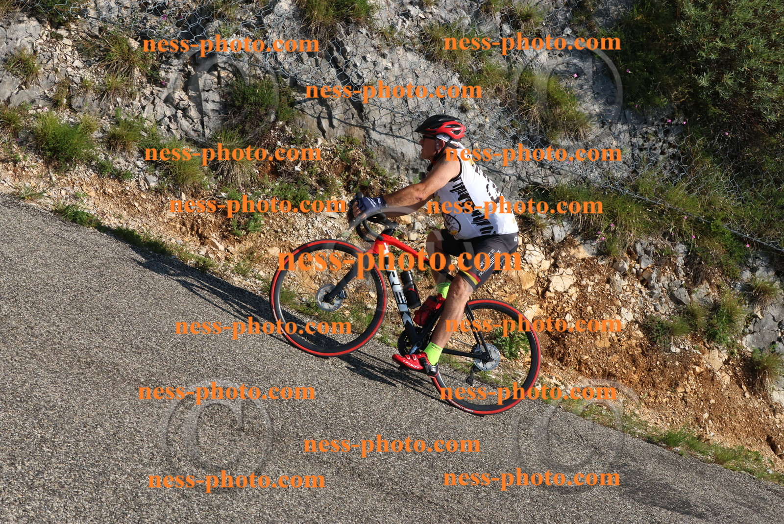 Col du Grand Colombier (216).JPG