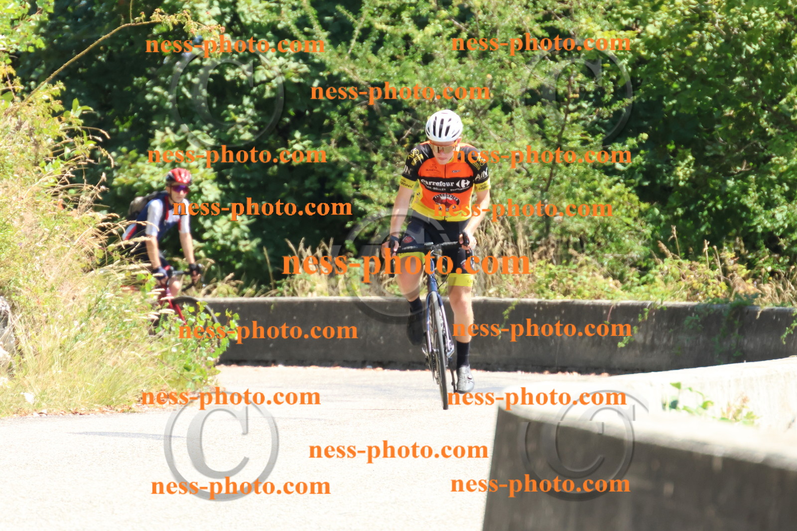 Col du Grand Colombier (528).JPG