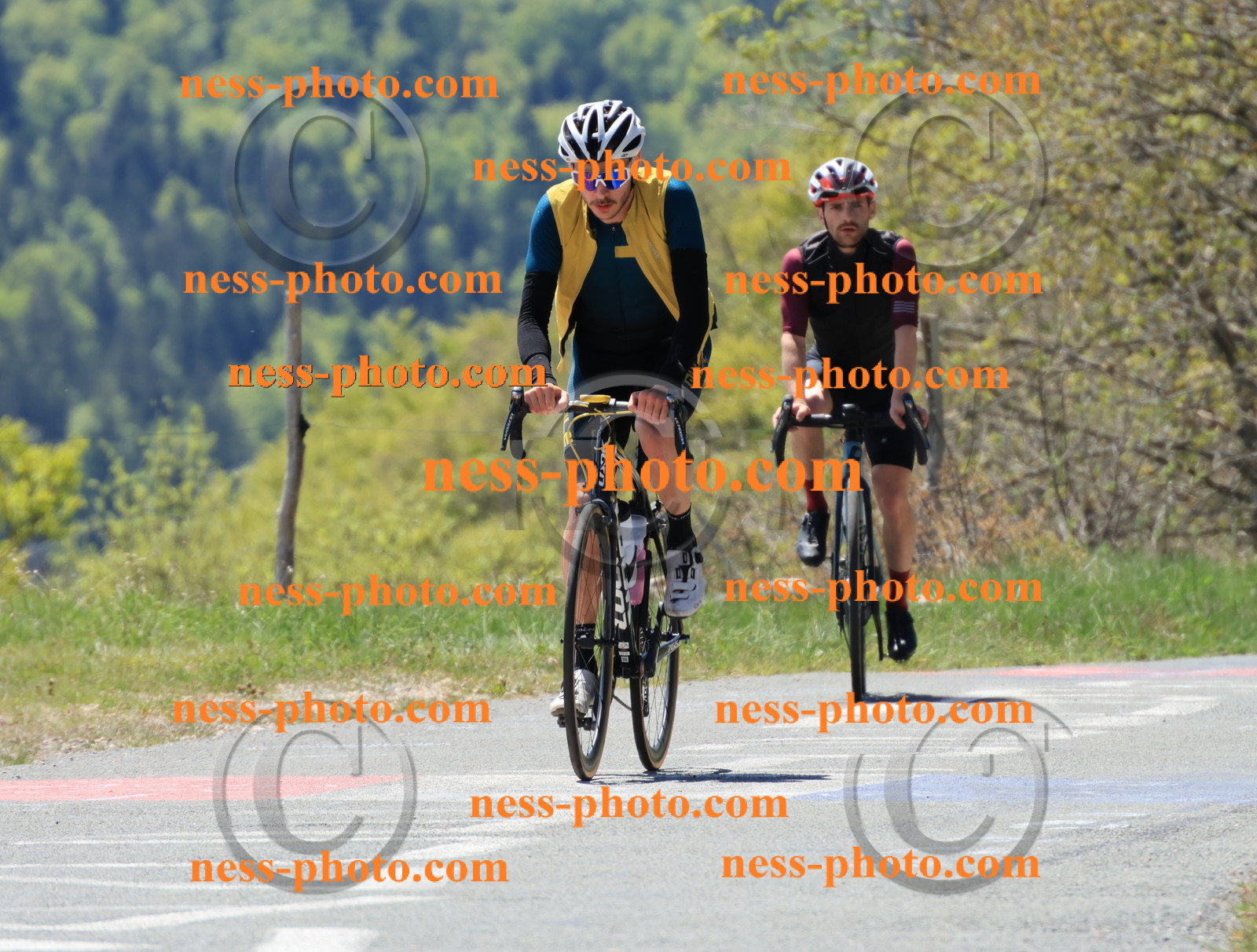 Col du Grand Colombier (210).JPG