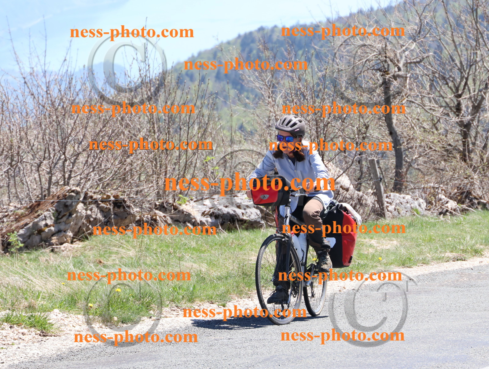 Col du Grand Colombier (840).JPG