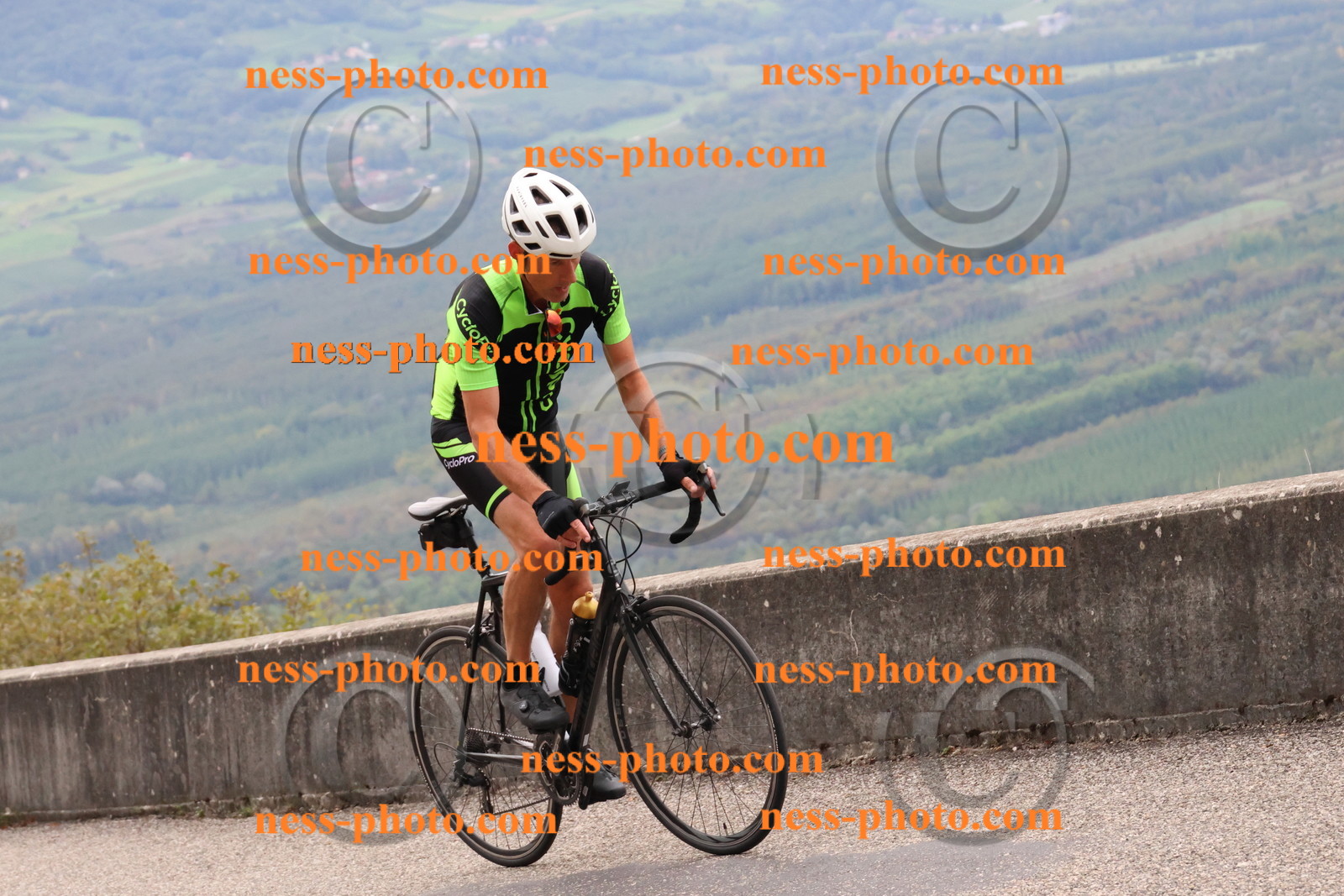 Col du Grand Colombier (179).JPG