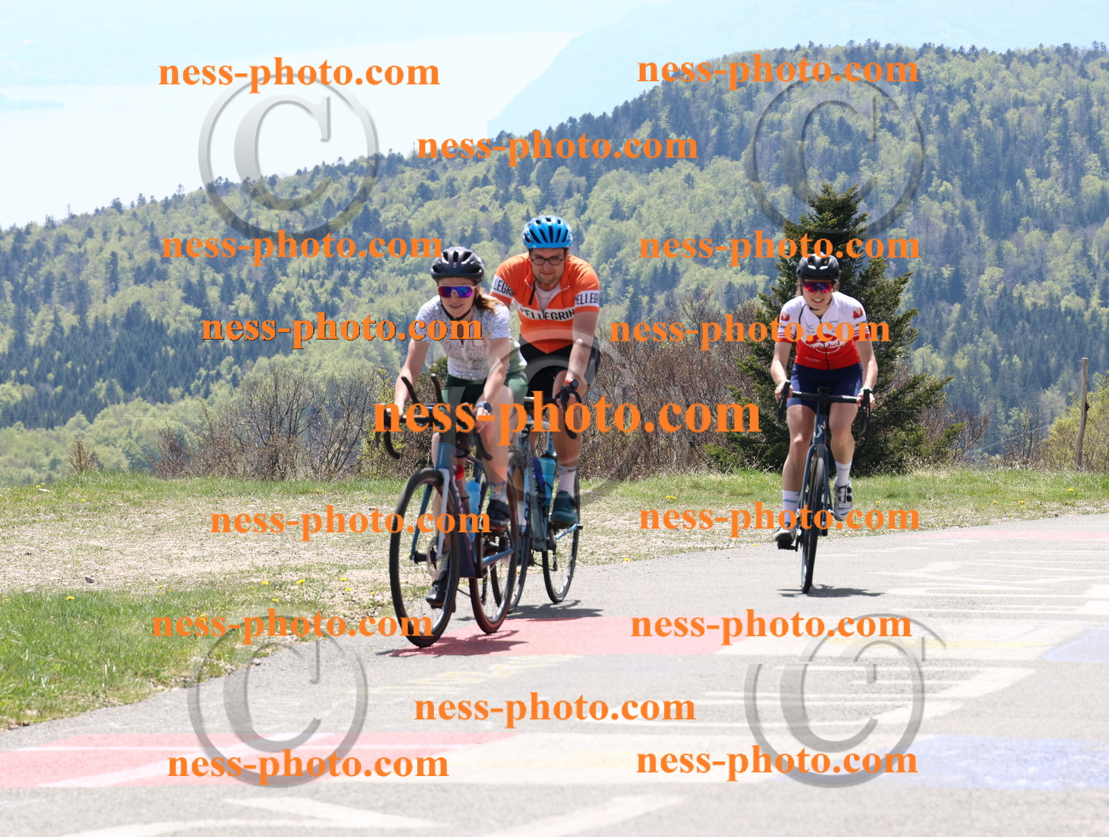 Col du Grand Colombier (365).JPG