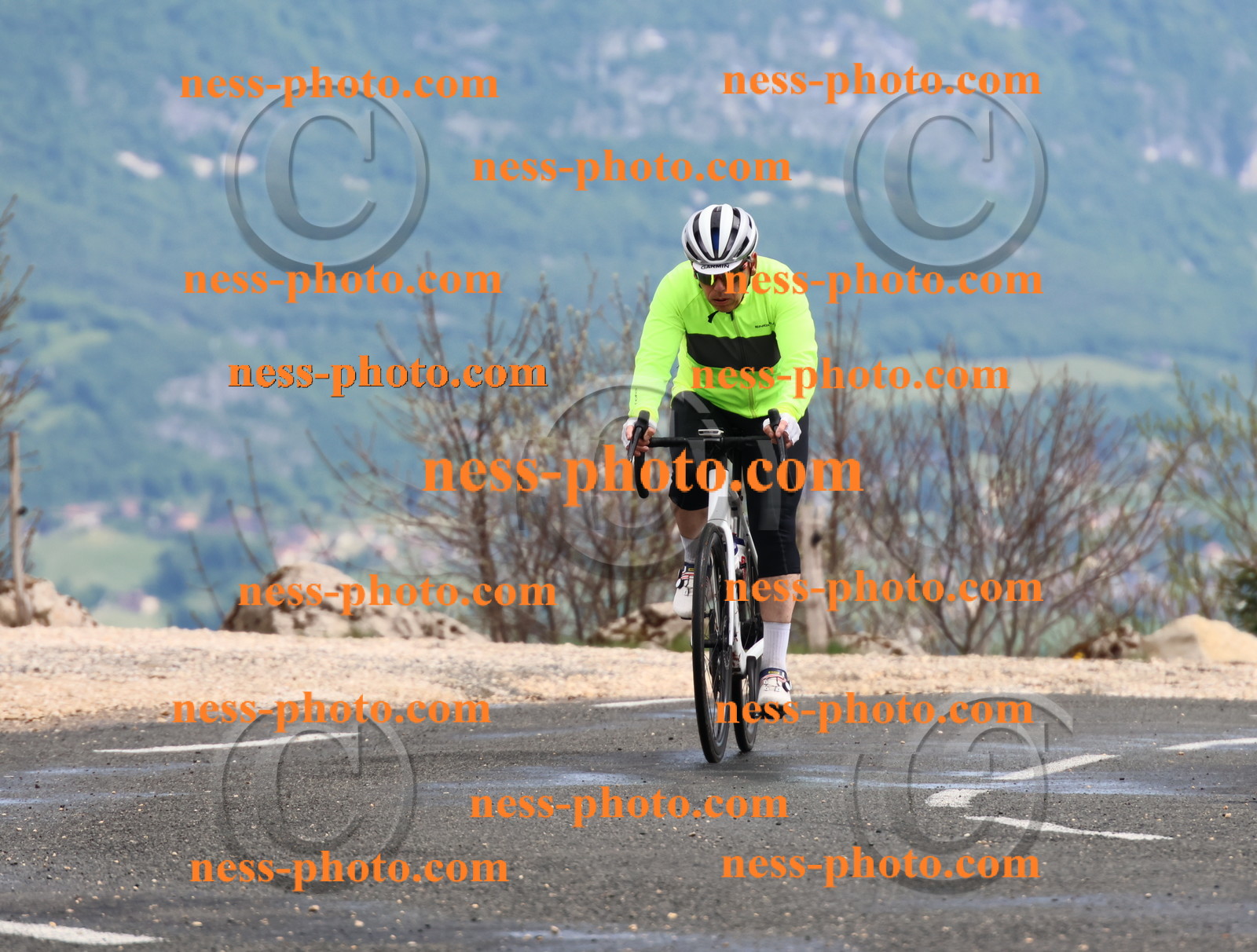 Col du Grand Colombier (264).JPG