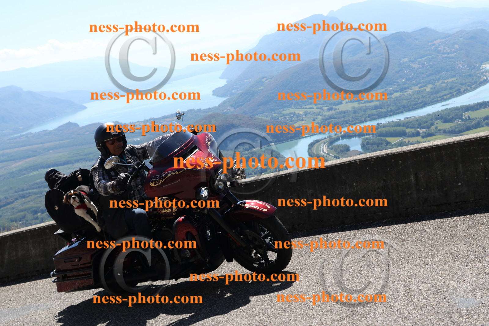 Col du Grand Colombier (264).JPG