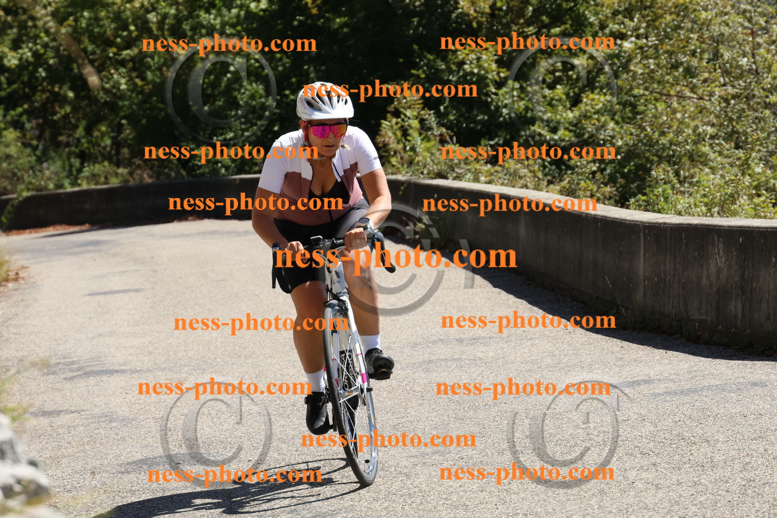 Col du Grand Colombier (577).JPG