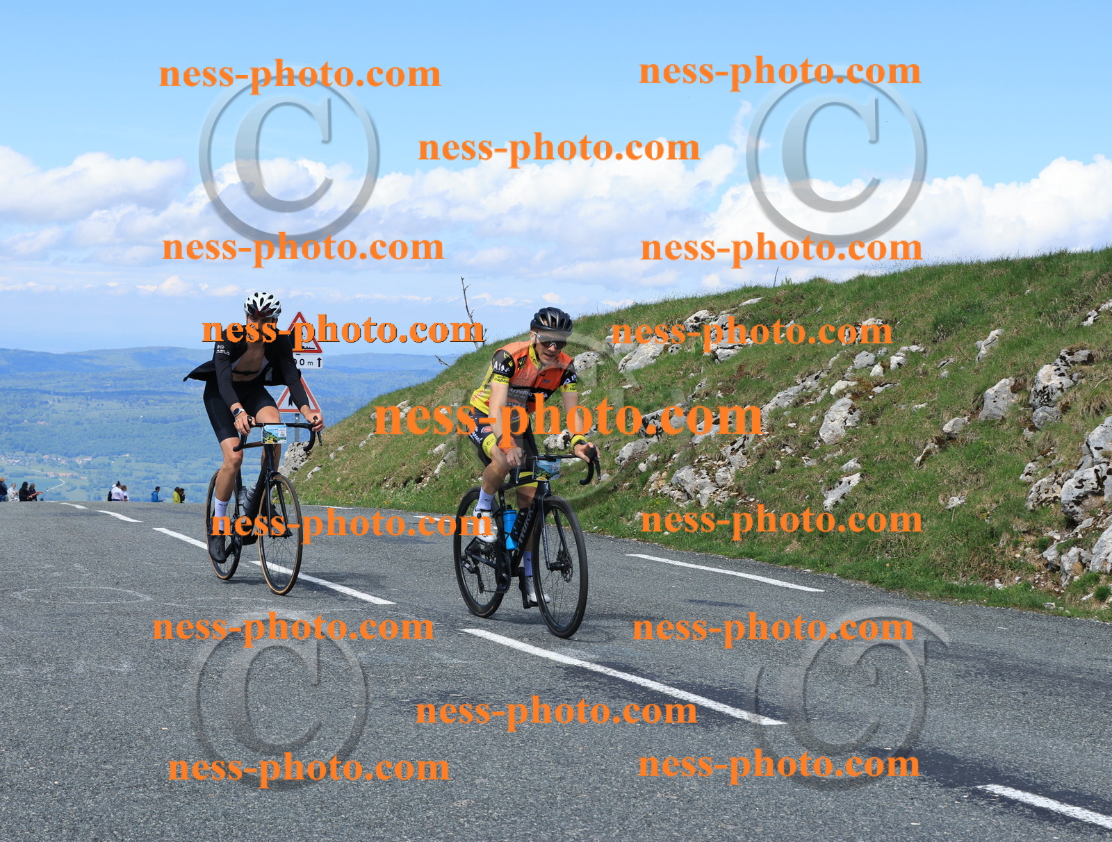 Col du Grand Colombier (1482).JPG