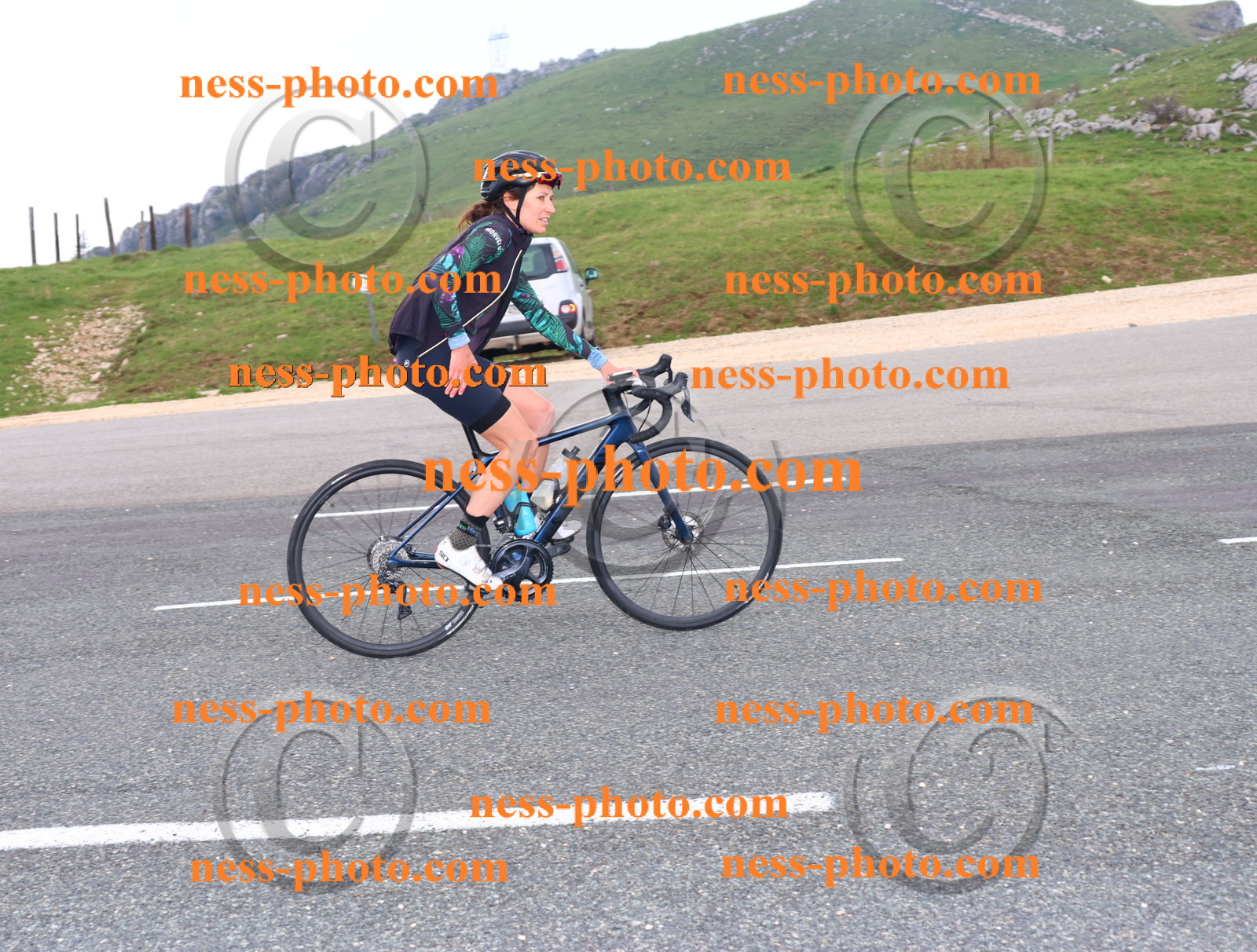 Col du Grand Colombier (308).JPG