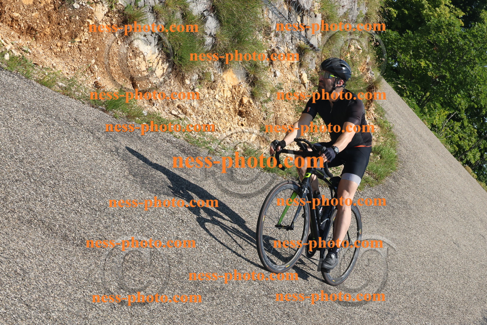 Col du Grand Colombier (447).JPG