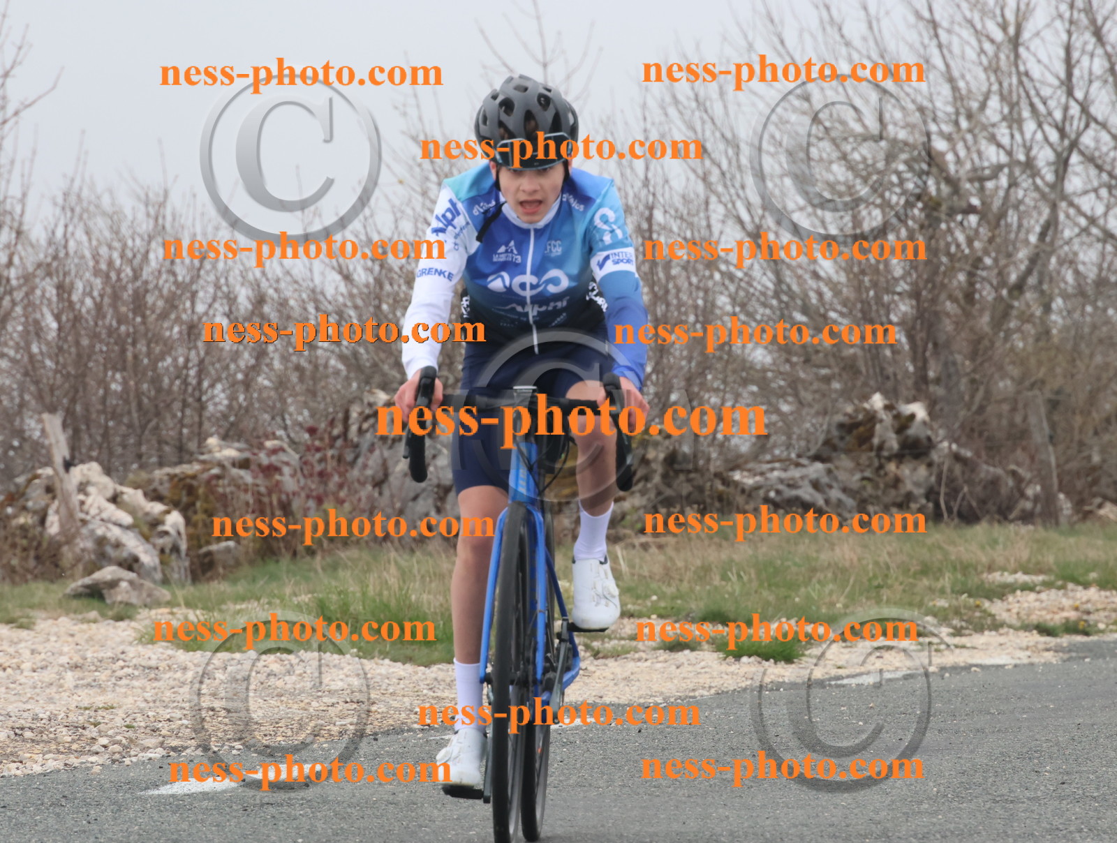 Col du Grand Colombier (46).JPG