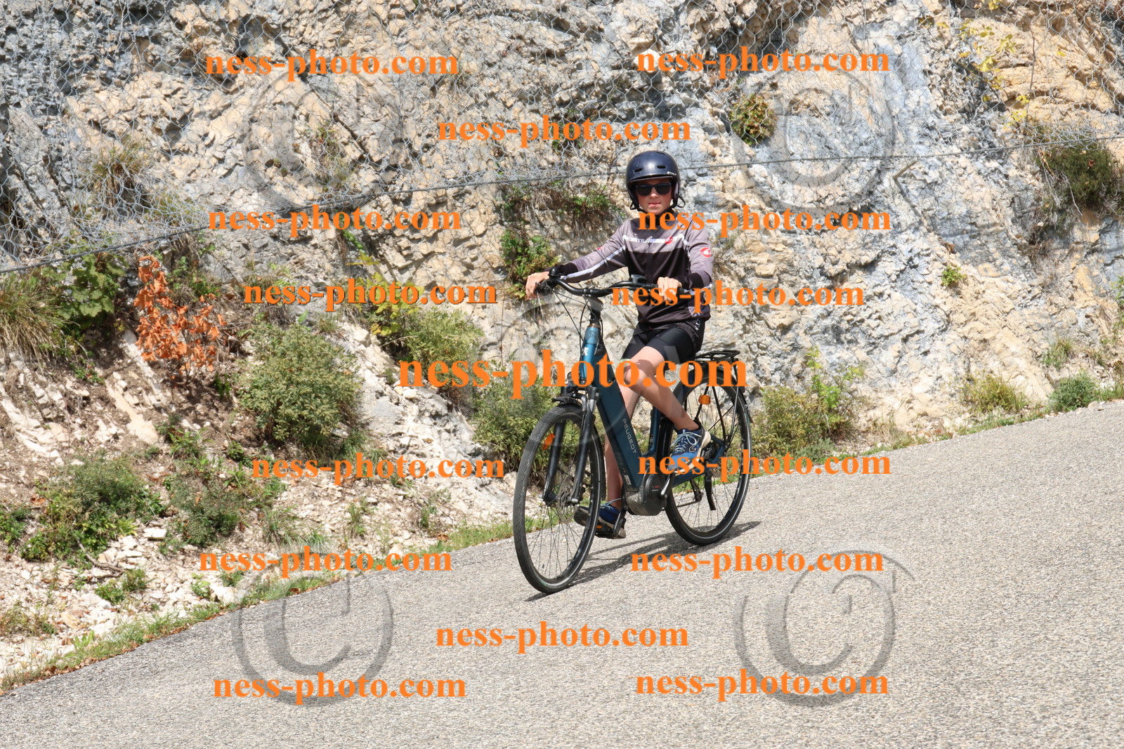 Col du Grand Colombier (646).JPG