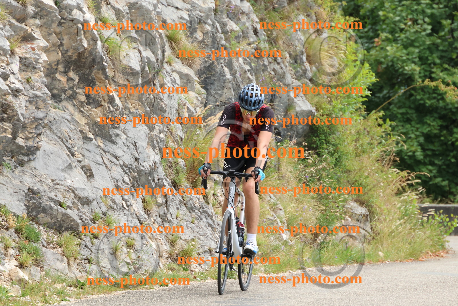 Col du Grand Colombier (193).JPG