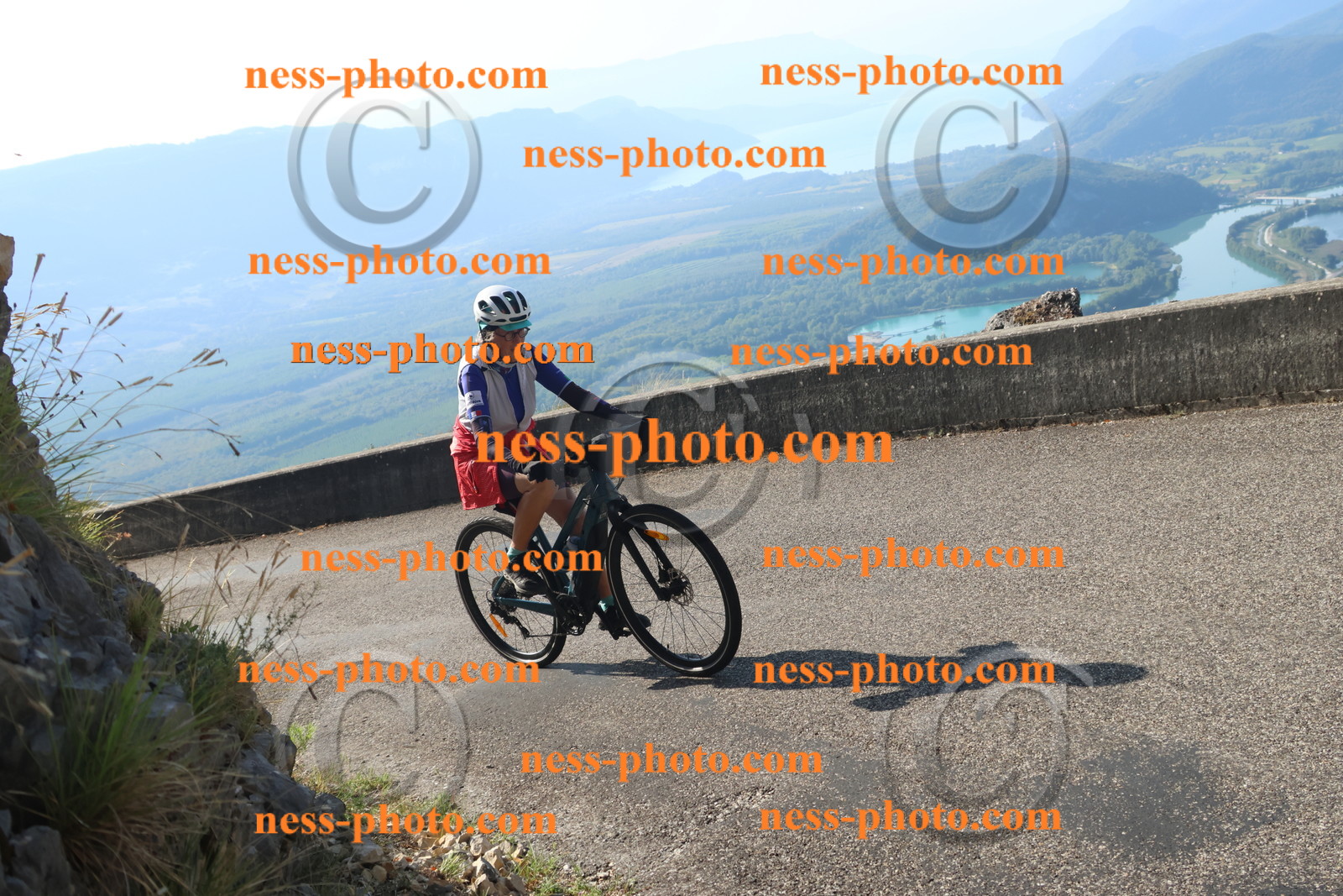 Col du Grand Colombier (1470).JPG