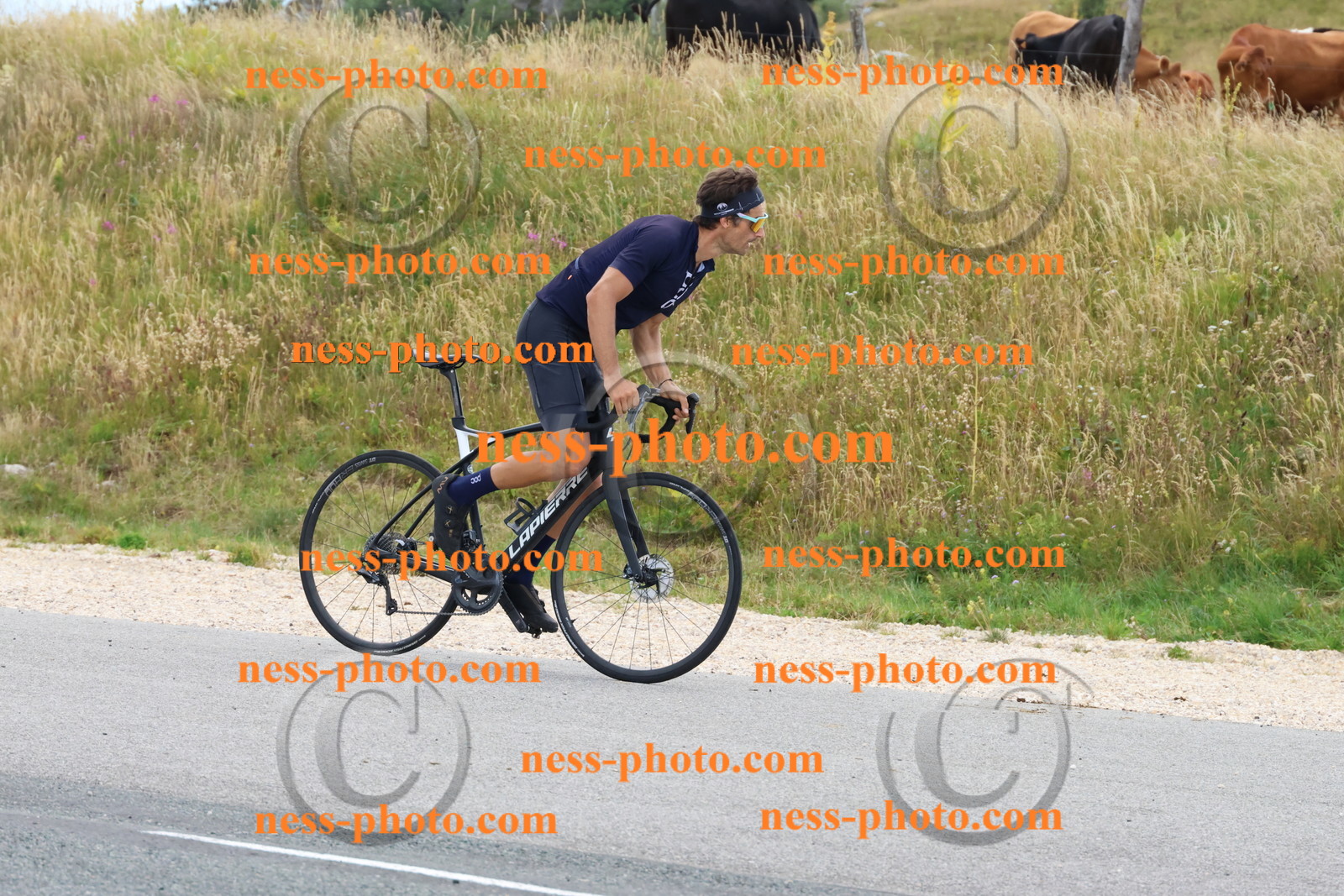 Col du Grand Colombier (247).JPG