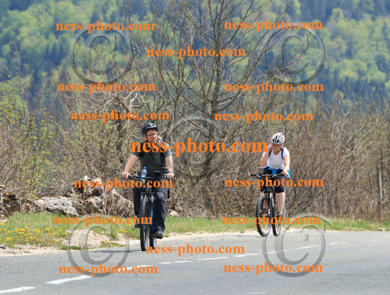 Col du Grand Colombier (3115).JPG