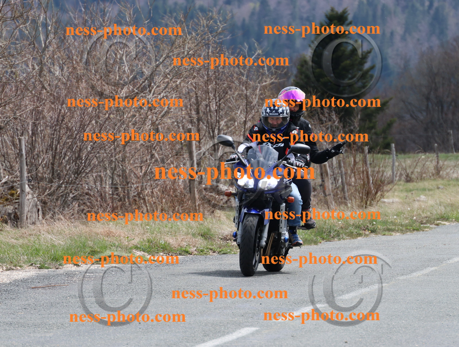 Col  du Grand Colombier (53).JPG