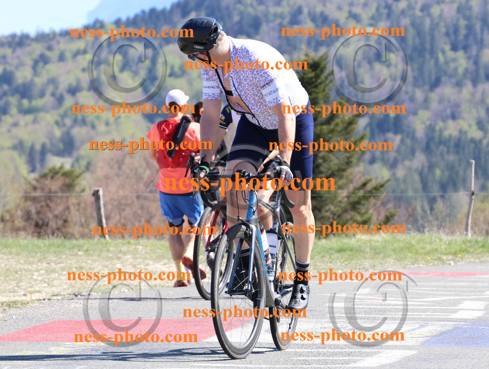 Col du Grand Colombier (1097).JPG