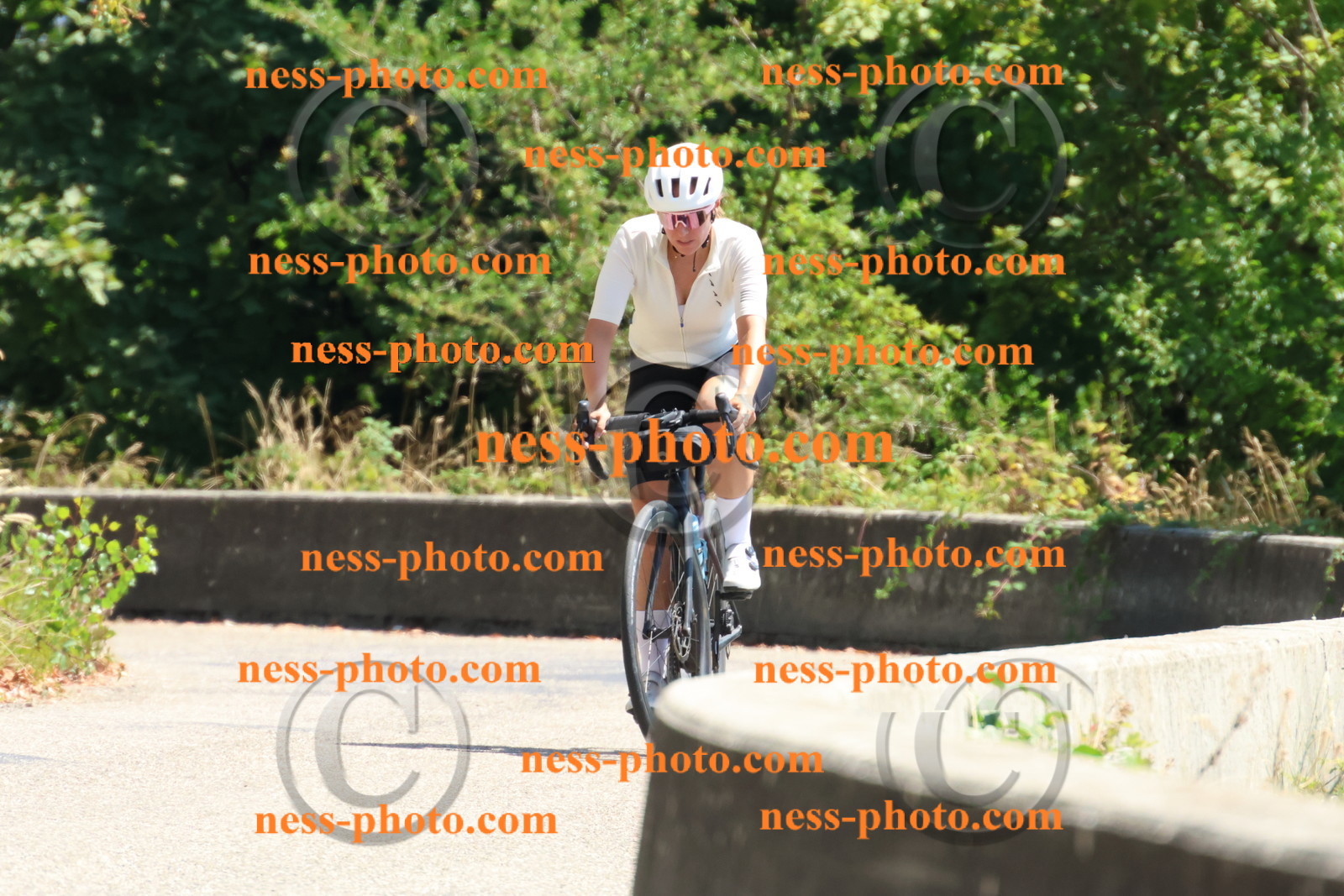 Col du Grand Colombier (465).JPG