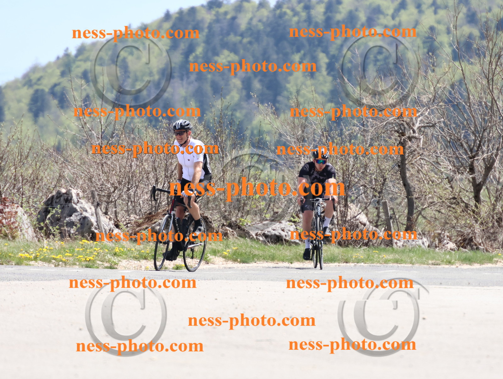 Col du Grand Colombier (792).JPG