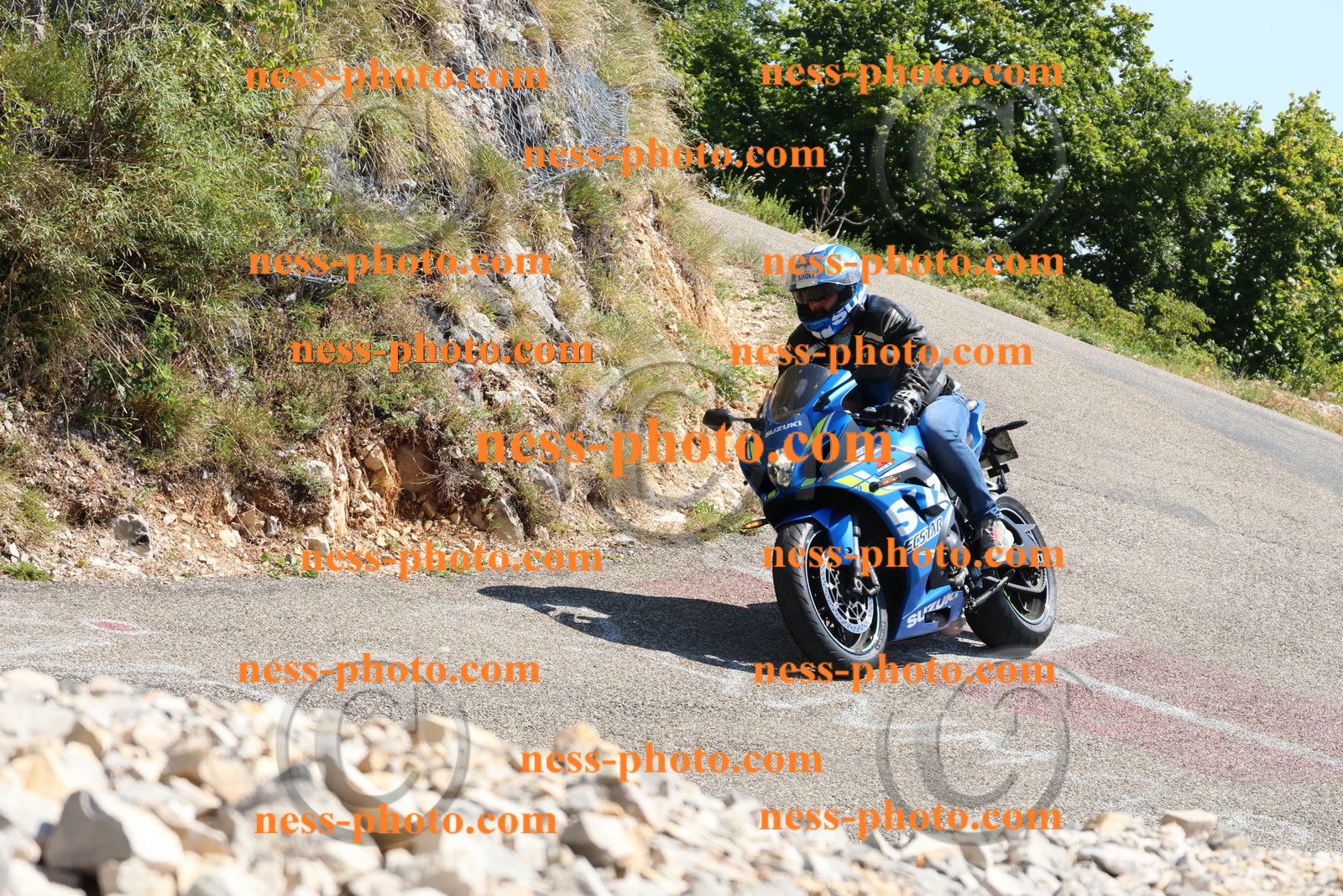 Col du Grand Colombier (198).JPG