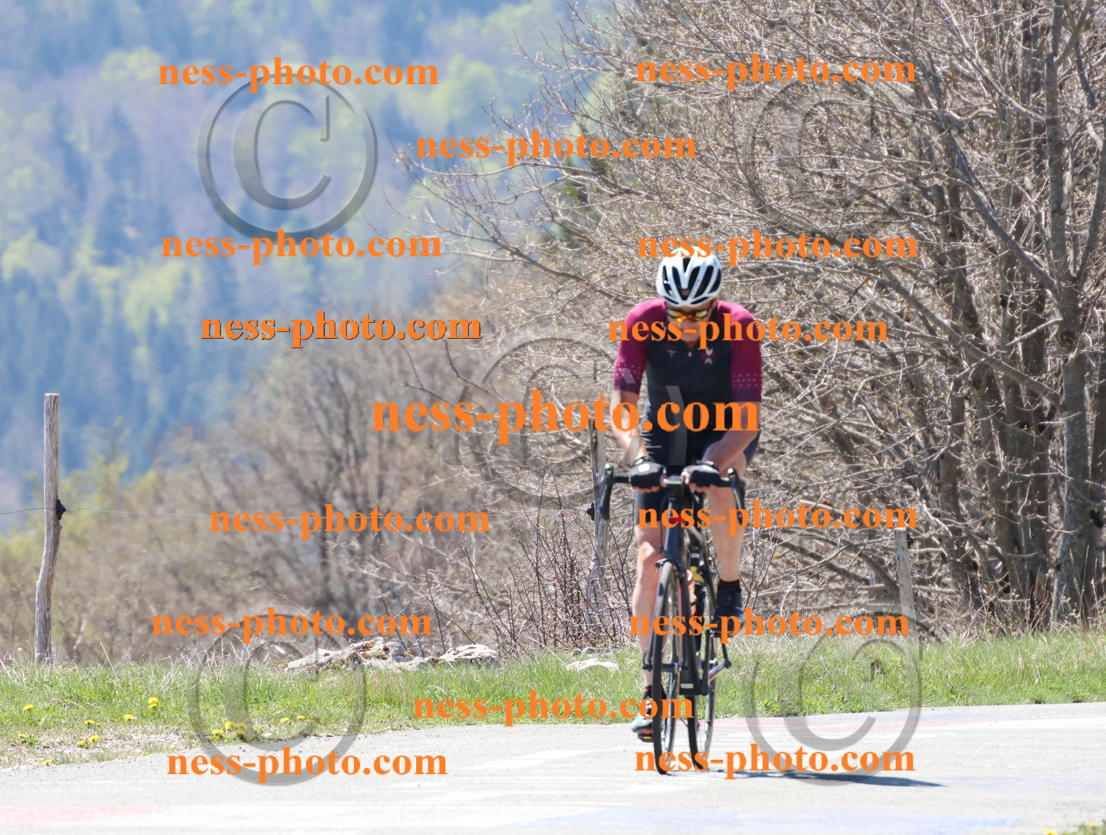 Col du Grand Colombier (280).JPG