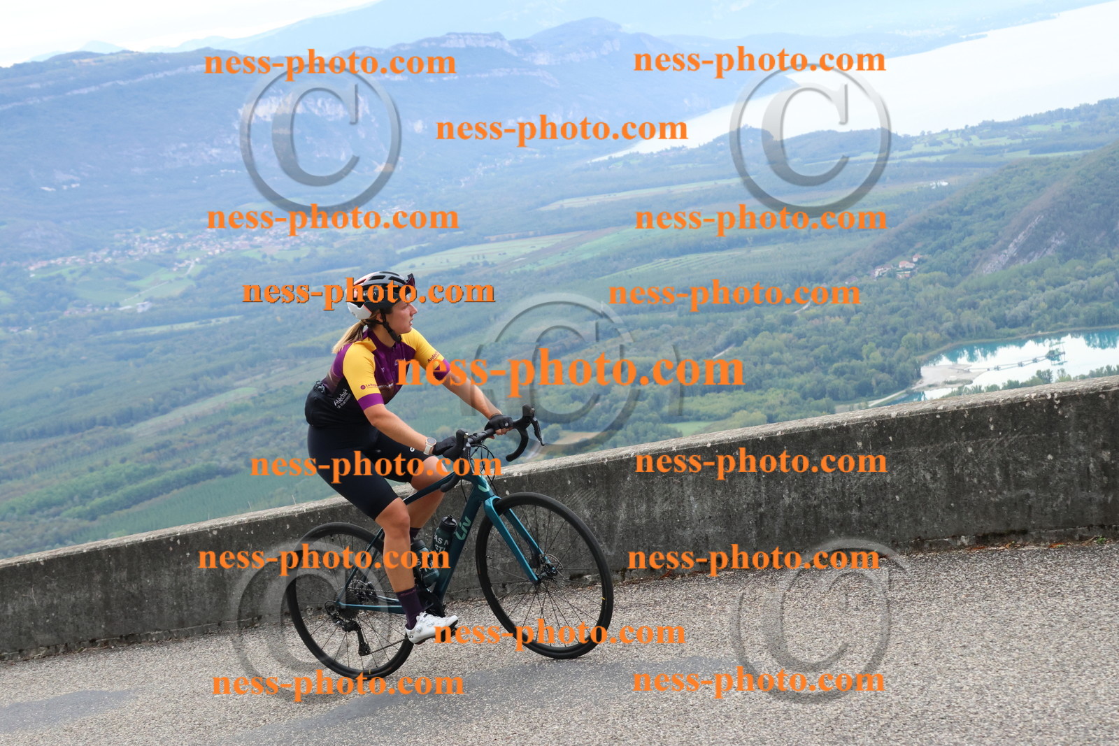 Col du Grand Colombier (735).JPG