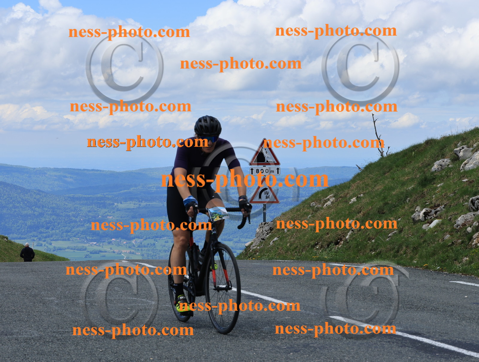 Col du Grand Colombier (2860).JPG