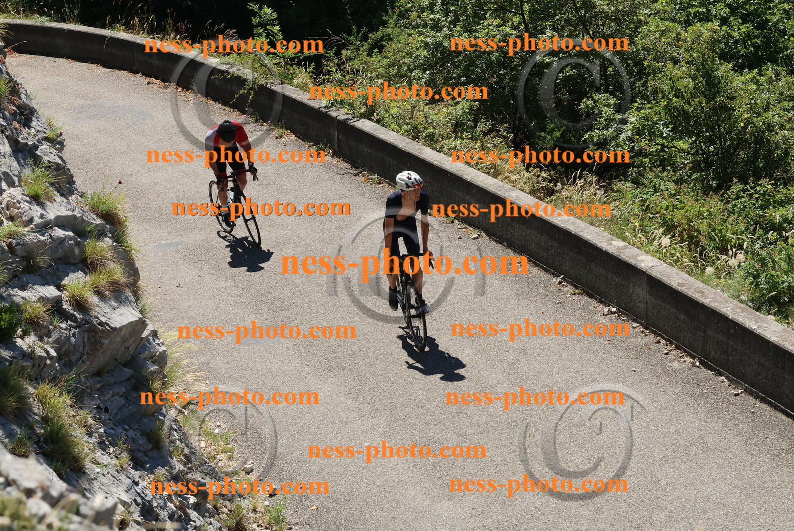 Col du Grand Colombier (397).JPG