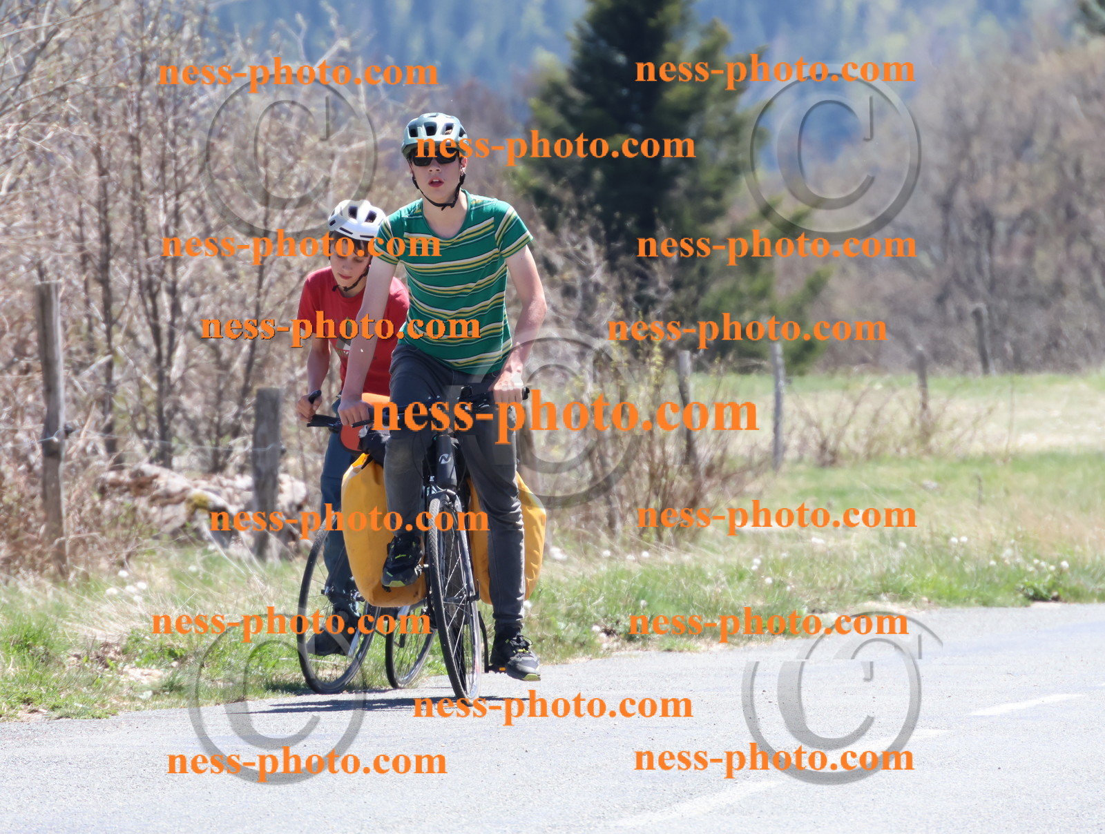 Col du Grand Colombier (811).JPG