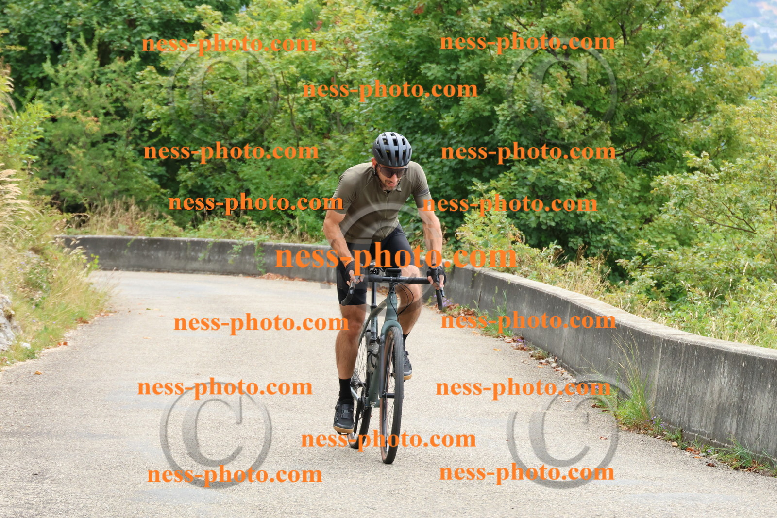 Col du Grand Colombier (167).JPG